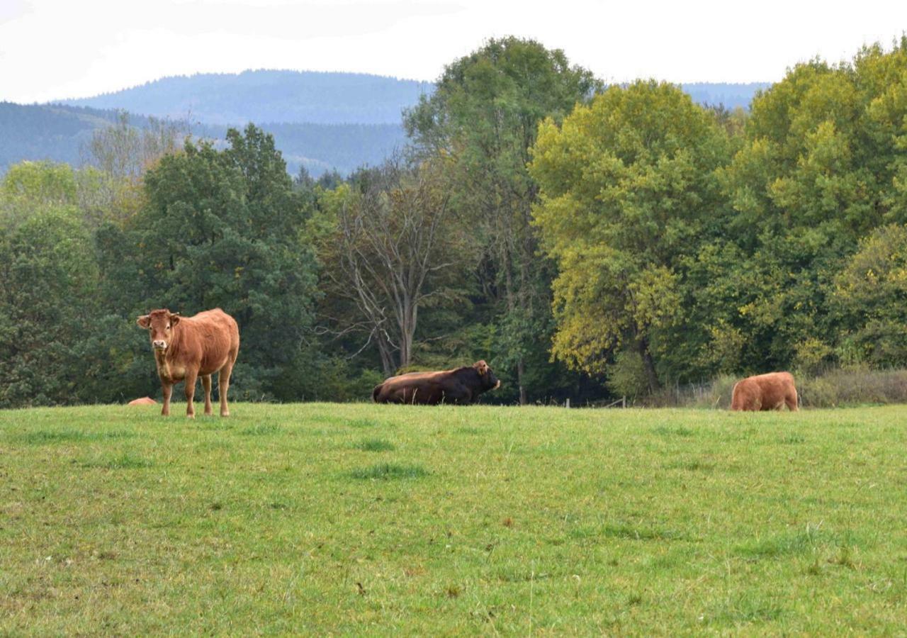 Ferienhaus Vulkaneifel كوب المظهر الخارجي الصورة